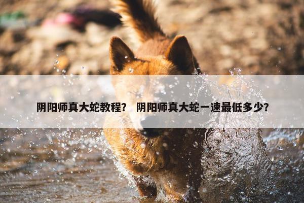 阴阳师真大蛇教程？ 阴阳师真大蛇一速最低多少？