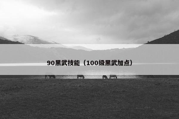 90黑武技能（100级黑武加点）
