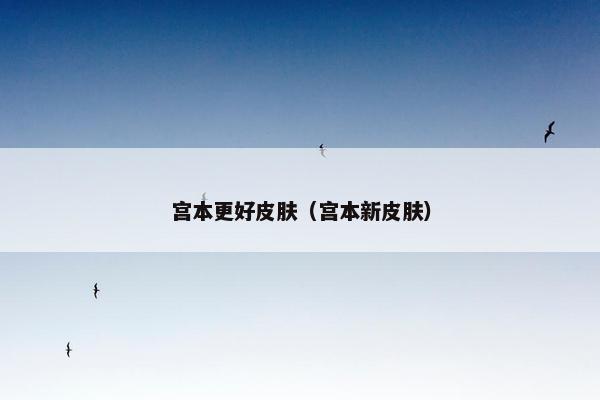 宫本更好皮肤（宫本新皮肤）
