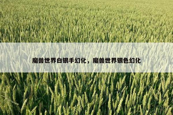 魔兽世界白银手幻化，魔兽世界银色幻化