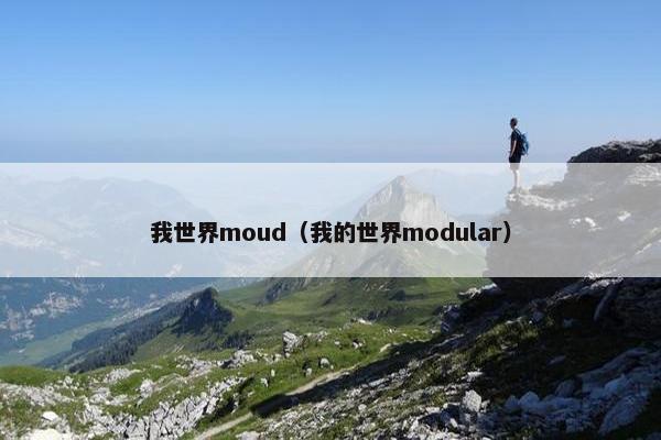 我世界moud（我的世界modular）