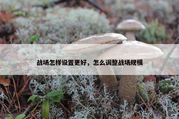 战场怎样设置更好，怎么调整战场规模