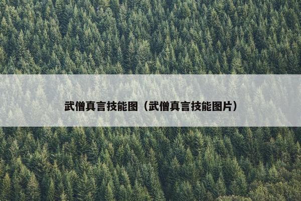 武僧真言技能图（武僧真言技能图片）
