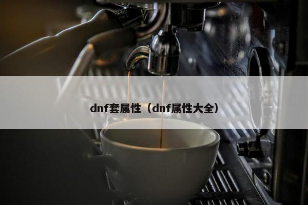 dnf套属性（dnf属性大全）