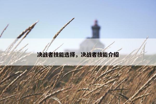 决战者技能选择，决战者技能介绍