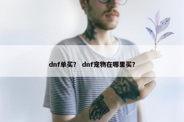 dnf单买？ dnf宠物在哪里买？