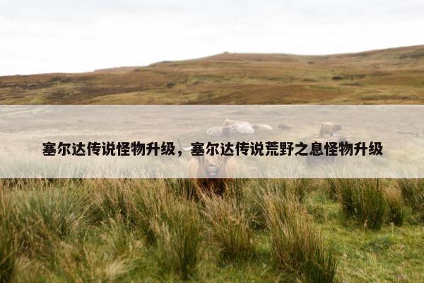 塞尔达传说怪物升级，塞尔达传说荒野之息怪物升级