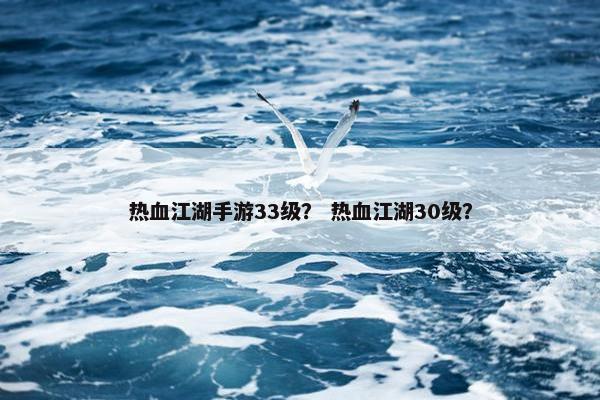 热血江湖手游33级？ 热血江湖30级？