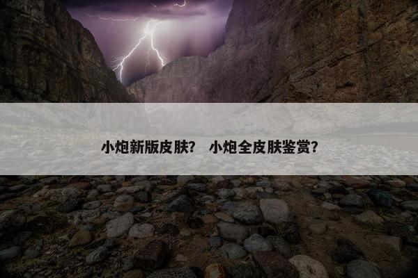 小炮新版皮肤？ 小炮全皮肤鉴赏？