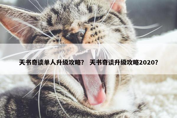 天书奇谈单人升级攻略？ 天书奇谈升级攻略2020？