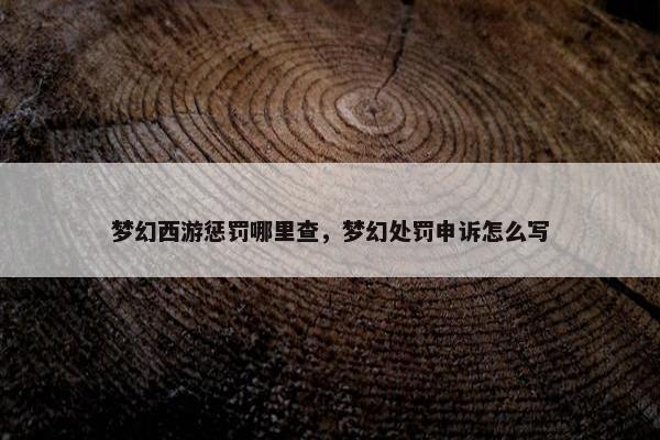 梦幻西游惩罚哪里查，梦幻处罚申诉怎么写