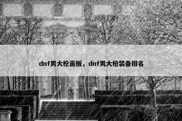 dnf男大枪面板，dnf男大枪装备排名