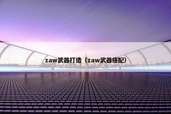 zaw武器打造（zaw武器搭配）