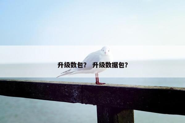 升级数包？ 升级数据包？