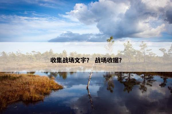 收集战场文字？ 战场收据？