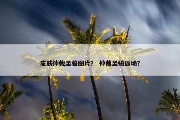 皮肤仲裁圣骑图片？ 仲裁圣骑返场？