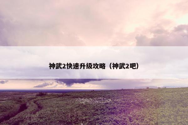 神武2快速升级攻略（神武2吧）