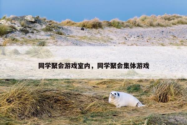 同学聚会游戏室内，同学聚会集体游戏