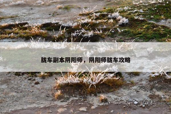 胧车副本阴阳师，阴阳师胧车攻略