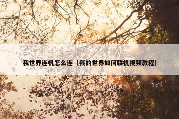 我世界连机怎么连（我的世界如何联机视频教程）