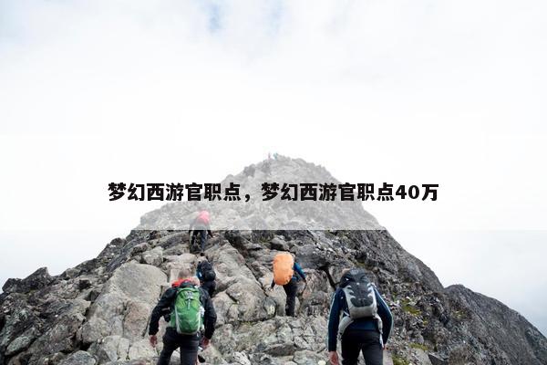 梦幻西游官职点，梦幻西游官职点40万