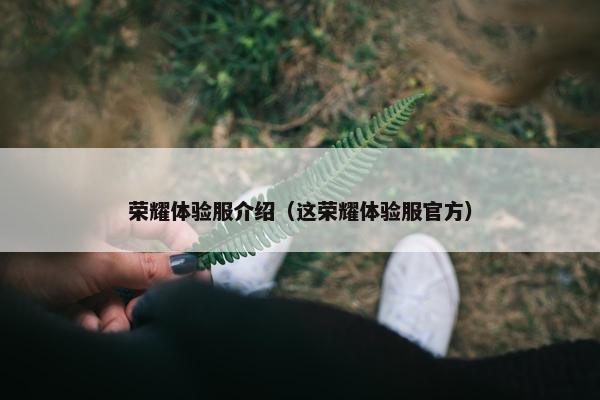 荣耀体验服介绍（这荣耀体验服官方）