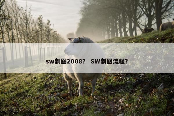 sw制图2008？ SW制图流程？
