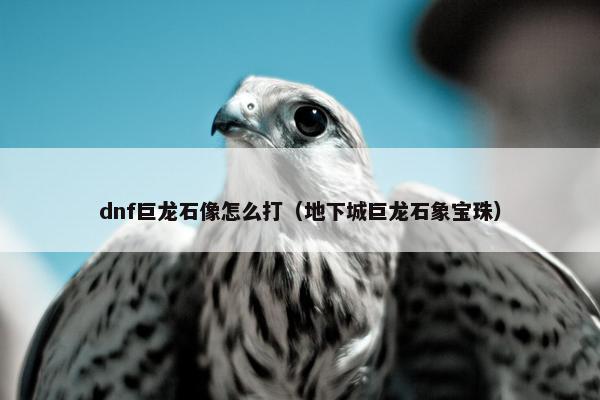 dnf巨龙石像怎么打（地下城巨龙石象宝珠）