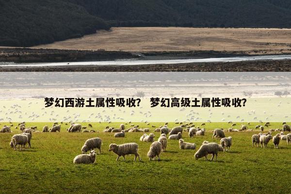 梦幻西游土属性吸收？ 梦幻高级土属性吸收？