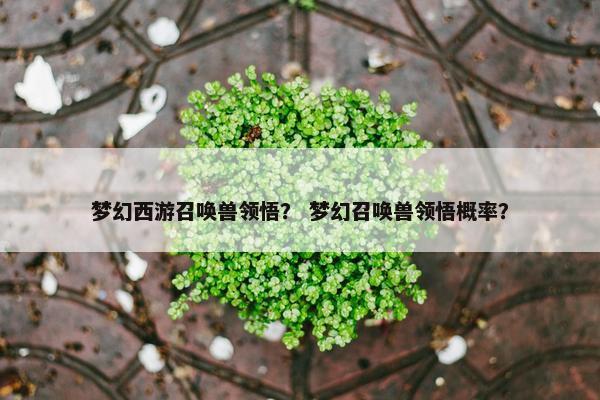 梦幻西游召唤兽领悟？ 梦幻召唤兽领悟概率？