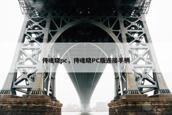 侍魂晓pc，侍魂晓PC版连接手柄