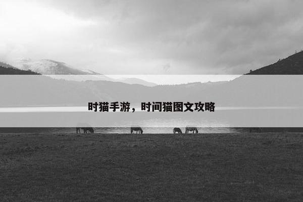 时猫手游，时间猫图文攻略