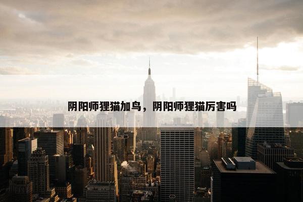 阴阳师狸猫加鸟，阴阳师狸猫厉害吗