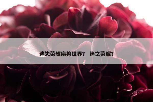 迷失荣耀魔兽世界？ 迷之荣耀？