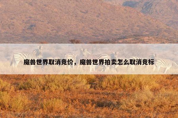 魔兽世界取消竞价，魔兽世界拍卖怎么取消竞标