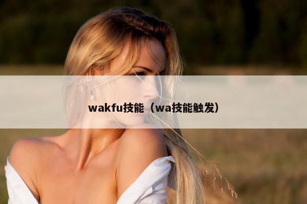 wakfu技能（wa技能触发）