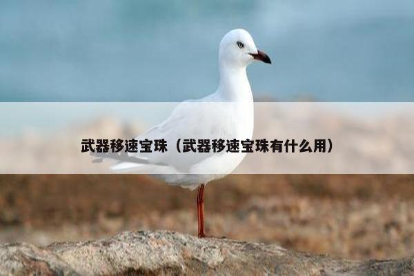 武器移速宝珠（武器移速宝珠有什么用）