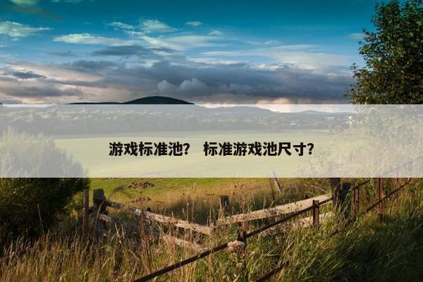 游戏标准池？ 标准游戏池尺寸？