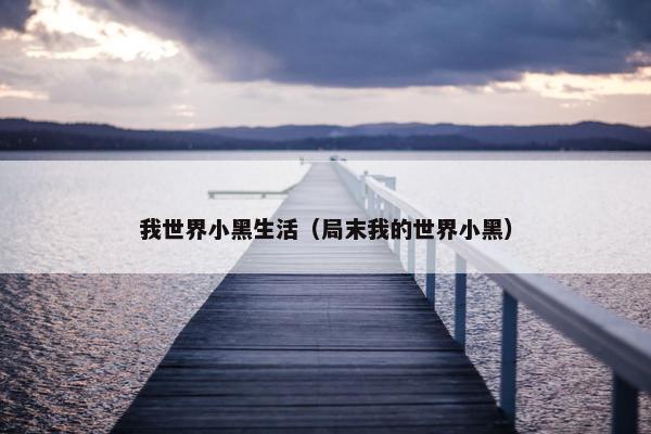 我世界小黑生活（局末我的世界小黑）