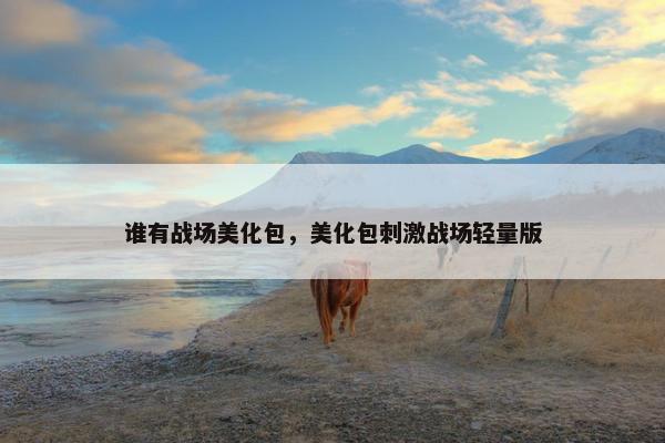 谁有战场美化包，美化包刺激战场轻量版