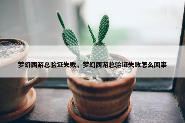 梦幻西游总验证失败，梦幻西游总验证失败怎么回事
