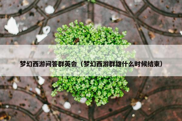 梦幻西游问答群英会（梦幻西游群雄什么时候结束）