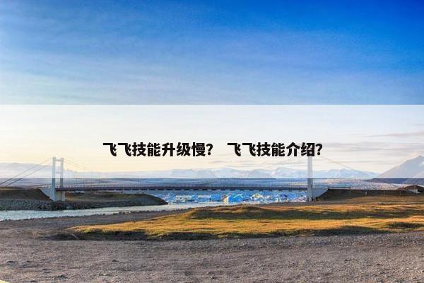 飞飞技能升级慢？ 飞飞技能介绍？