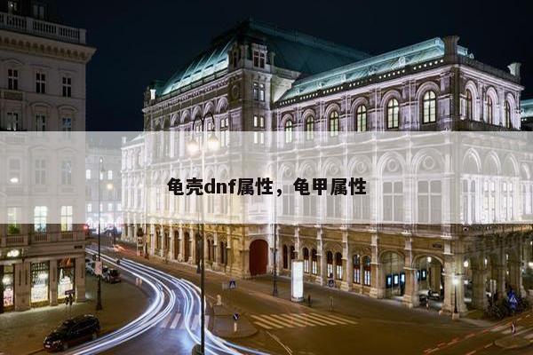 龟壳dnf属性，龟甲属性