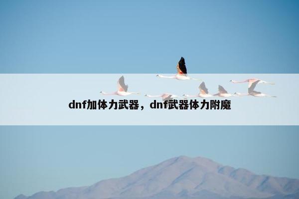 dnf加体力武器，dnf武器体力附魔