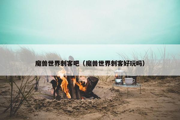 魔兽世界刺客吧（魔兽世界刺客好玩吗）