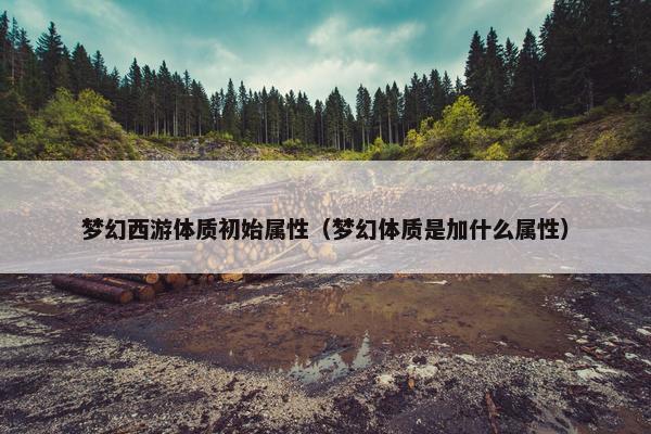 梦幻西游体质初始属性（梦幻体质是加什么属性）