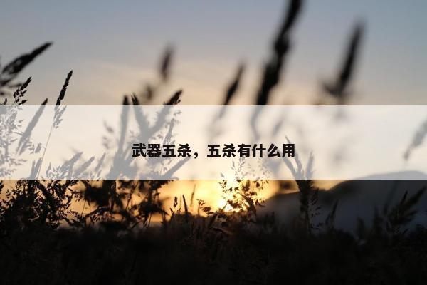 武器五杀，五杀有什么用