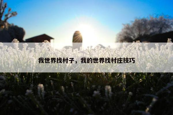 我世界找村子，我的世界找村庄技巧