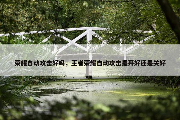 荣耀自动攻击好吗，王者荣耀自动攻击是开好还是关好